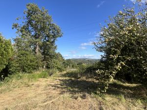 Photo 16- click for photo gallery